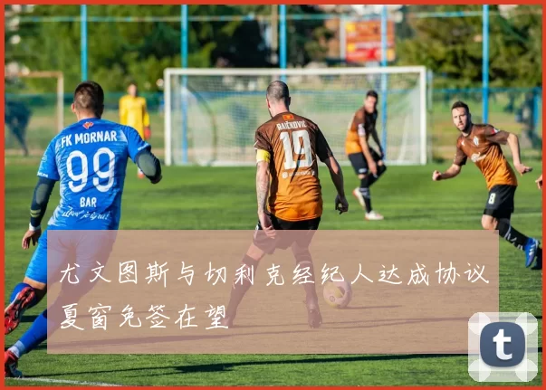 尤文图斯与切利克经纪人达成协议夏窗免签在望