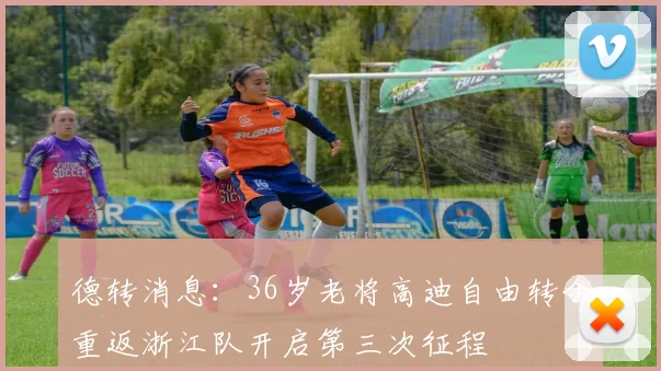 德转消息：36岁老将高迪自由转会重返浙江队开启第三次征程