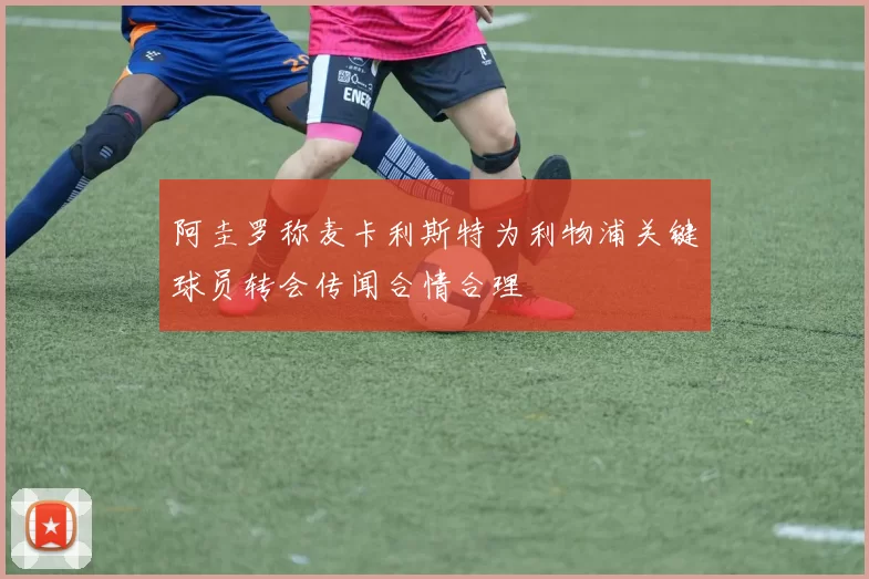 阿圭罗称麦卡利斯特为利物浦关键球员转会传闻合情合理