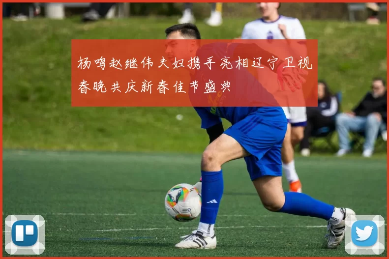 杨鸣赵继伟夫妇携手亮相辽宁卫视春晚共庆新春佳节盛典
